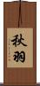 秋羽 Scroll