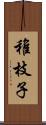 稚枝子 Scroll