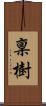 稟樹 Scroll