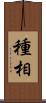 種相 Scroll