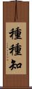 種種知 Scroll