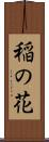 稲の花 Scroll
