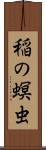 稲の螟虫 Scroll