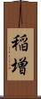 稲増 Scroll