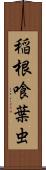 稲根喰葉虫 Scroll