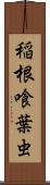 稲根喰葉虫 Scroll