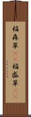稲森草(rK) Scroll