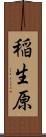 稲生原 Scroll