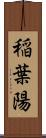 稲葉陽 Scroll