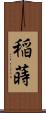 稲蒔 Scroll