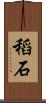稻石 Scroll