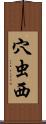 穴虫西 Scroll