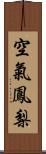 空氣鳳梨 Scroll