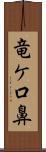 竜ケ口鼻 Scroll