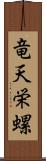 竜天栄螺 Scroll