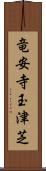 竜安寺玉津芝 Scroll