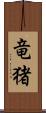竜猪 Scroll