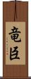 竜臣 Scroll