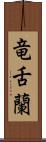竜舌蘭 Scroll