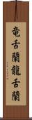 竜舌蘭 Scroll