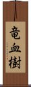 竜血樹 Scroll