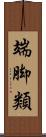 端脚類 Scroll