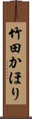 竹田かほり Scroll