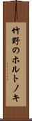 竹野のホルトノキ Scroll