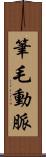 筆毛動脈 Scroll