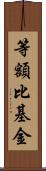 等額比基金 Scroll