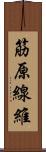 筋原線維 Scroll