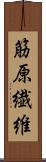 筋原繊維 Scroll