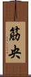 筋央 Scroll