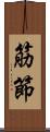 筋節 Scroll