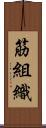 筋組織 Scroll