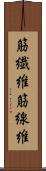 筋繊維 Scroll