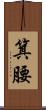箕腰 Scroll