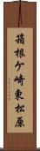 箱根ケ崎東松原 Scroll