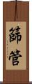 篩管 Scroll