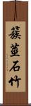簇莖石竹 Scroll