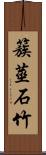 簇莖石竹 Scroll