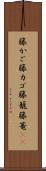 籐かご Scroll