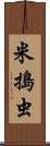 米搗虫 Scroll