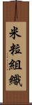 米粒組織 Scroll