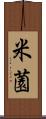 米薗 Scroll