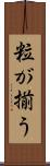 粒が揃う Scroll