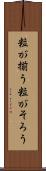粒が揃う Scroll