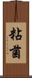 粘菌 Scroll