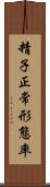 精子正常形態率 Scroll