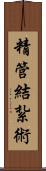 精管結紮術 Scroll